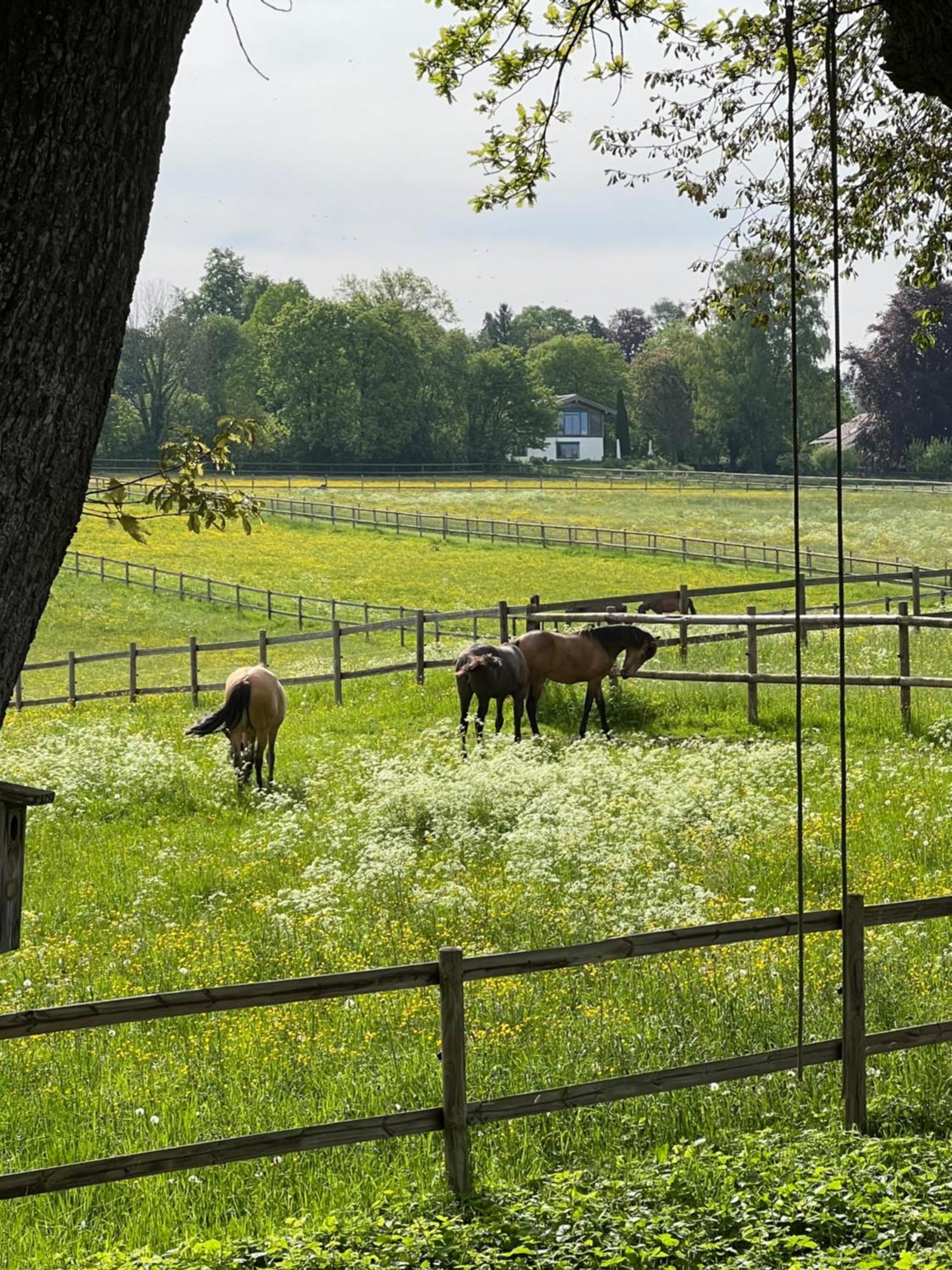 Herrenhaus - Starnberger See - Ammerland Münsing Extérieur photo