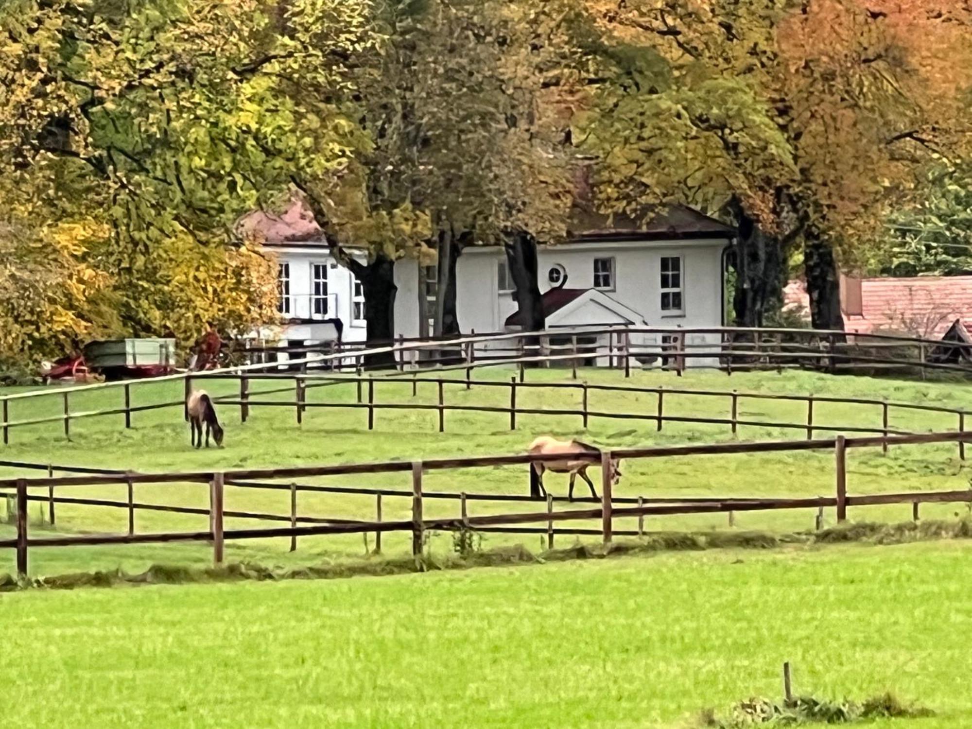 Herrenhaus - Starnberger See - Ammerland Münsing Extérieur photo